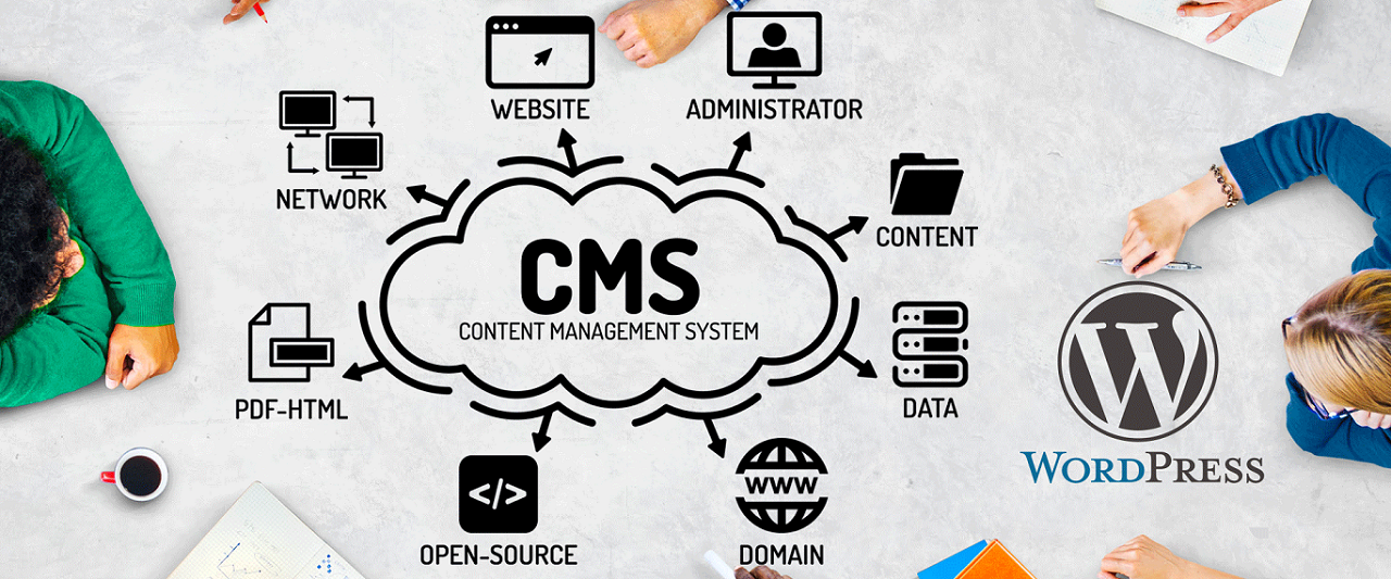 WordPress & CMS Development Services